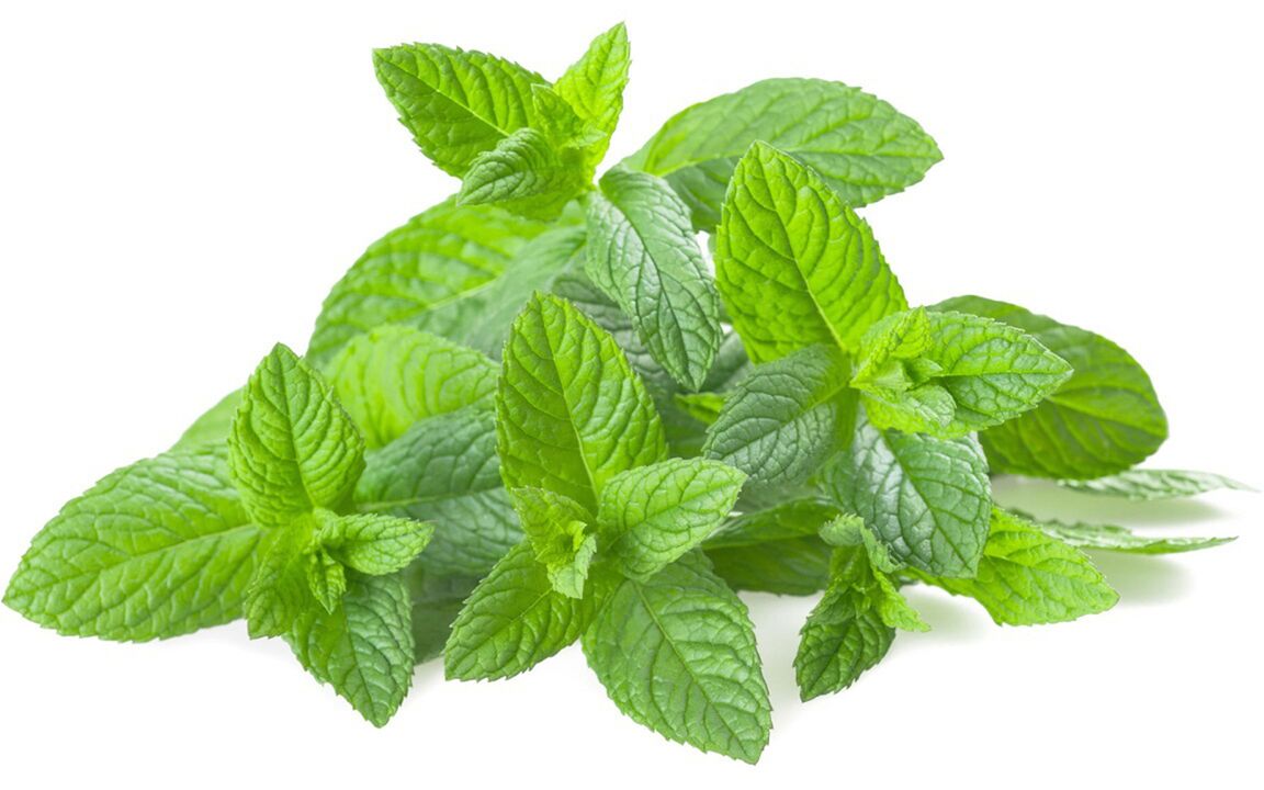 Aceite de menta en hondrolife